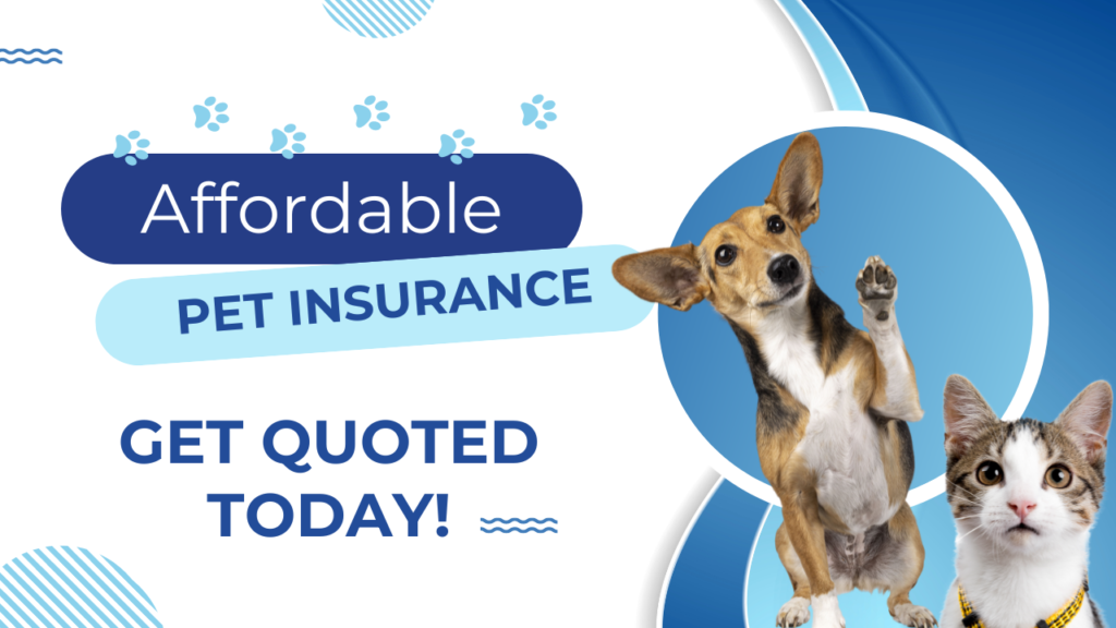 Affordable Pet Insurance